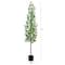 6ft. UV Artificial Podocarpus Artificial Tree (Indoor/Outdoor)